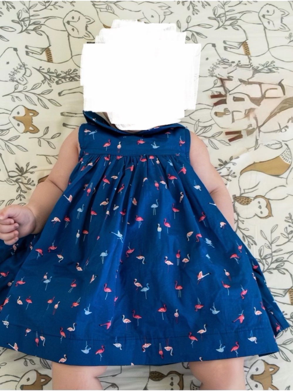 First Impressions Navy Dress with Pink Flamingo Print and Matching Bloomers